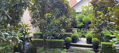 Plant Biz Trade Link