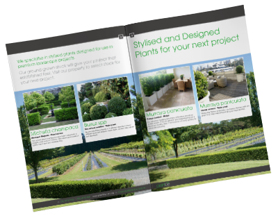 2019 PlantBiz Stocklist
